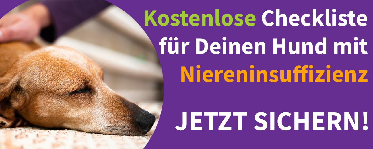 Kostenloste Checkliste für Hunde mit Niereninsuffizienz von Tierarzt Dr. Berg