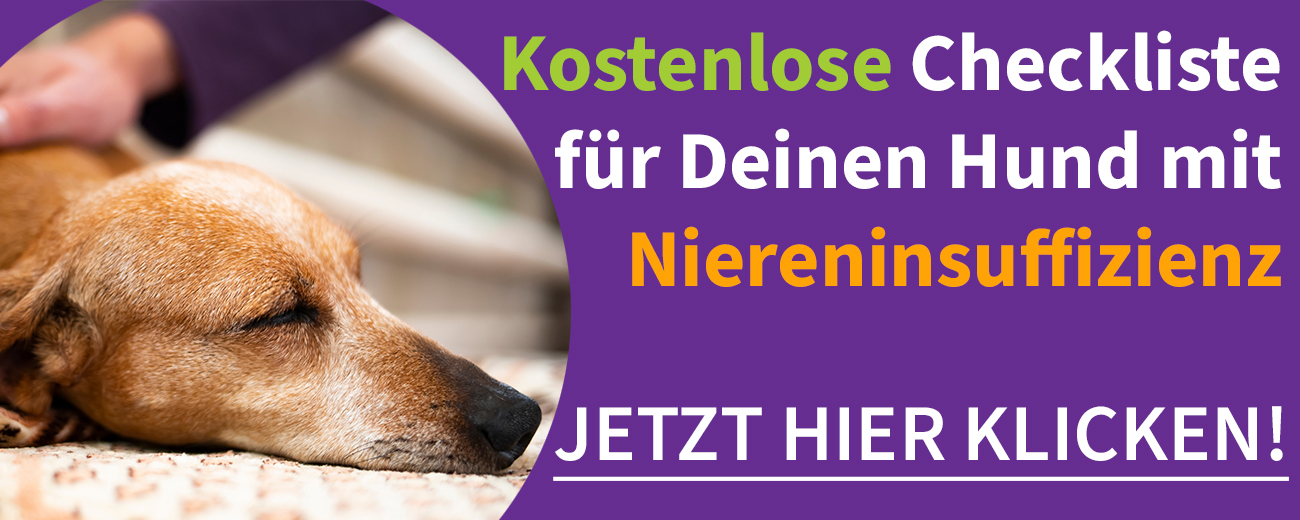 Kostenlose Checkliste für Hunde mit Niereninsuffizienz von Tierarzt Dr. Berg