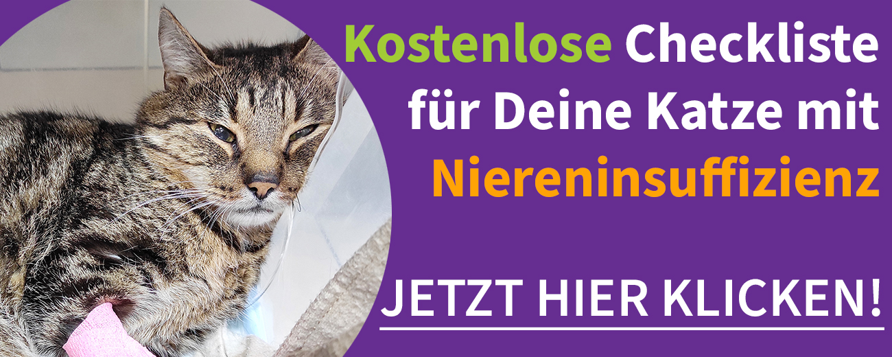 Kostenlose Checkliste für Katzen mit Niereninsuffizienz von Tierarzt Dr. Berg