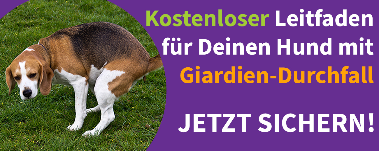 kostenloser Leitfaden für Hunde mit Durchfall bei Giardien