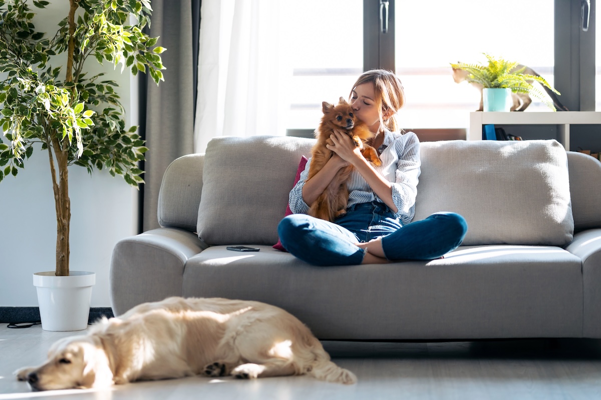 Hundehalterin entspannt mit ihren Tieren auf dem Sofa. 