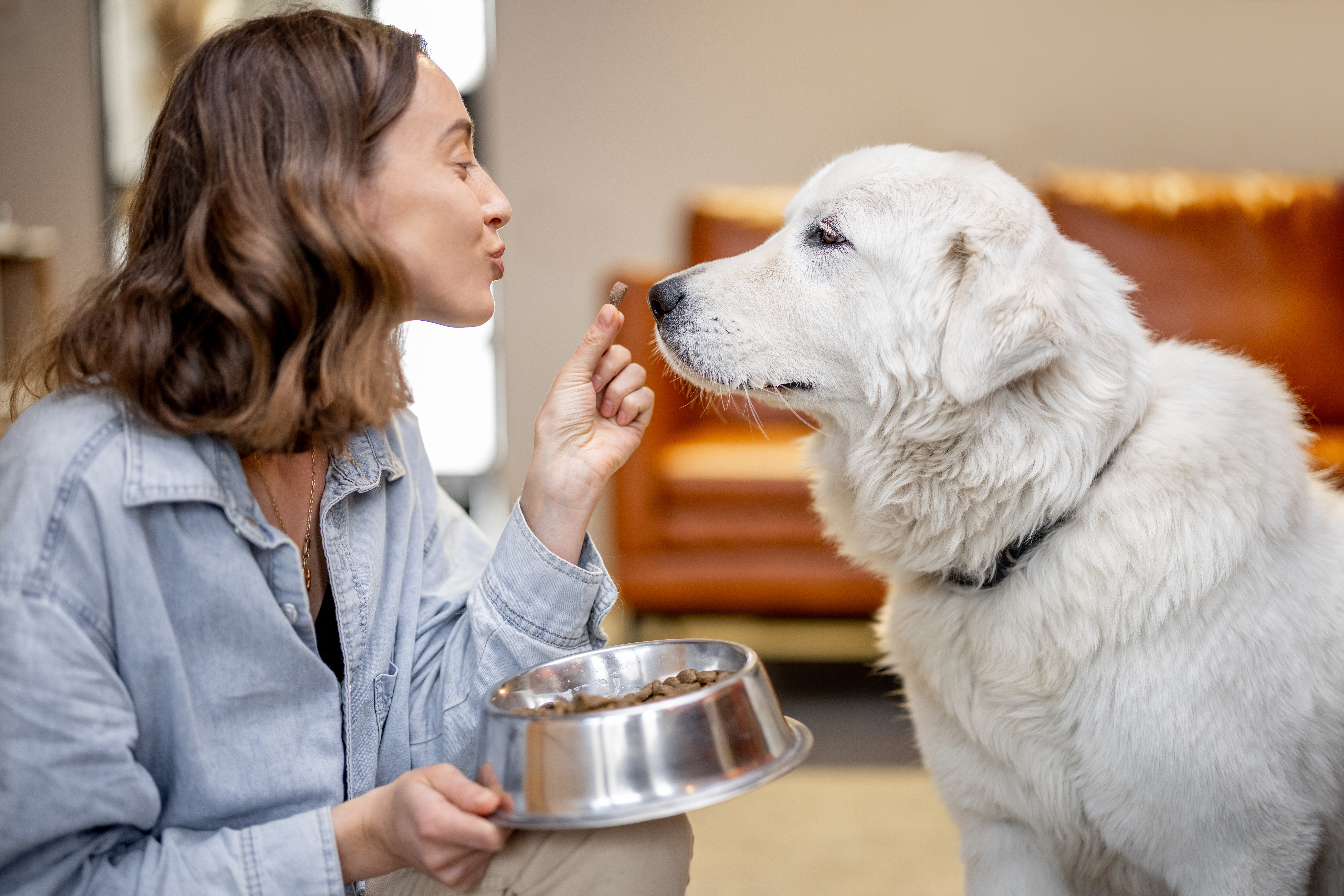 Eine junge Frau füttert liebevoll ihren ausgewachsenen Hund mit Trockenfutter